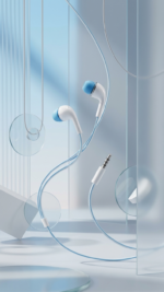 Wired In-Ear Earphones
